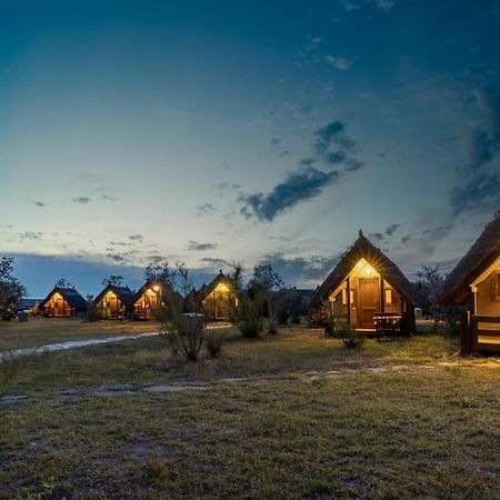 Dolphin Camping Σφίντου Γκεόργκε Εξωτερικό φωτογραφία