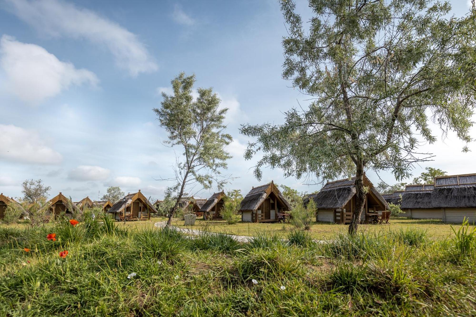 Dolphin Camping Σφίντου Γκεόργκε Εξωτερικό φωτογραφία